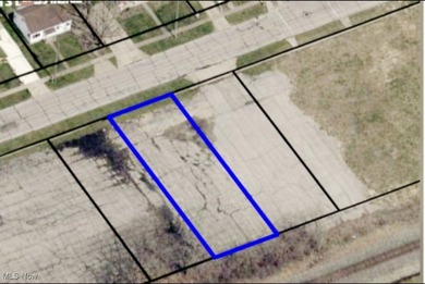 Lake Erie - Lorain County Commercial For Sale in Lorain Ohio