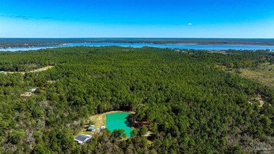 Owner financing available with $20k down. Wetland delineation - photo 3