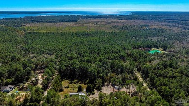 Owner financing available with $20k down. Wetland delineation - photo 5
