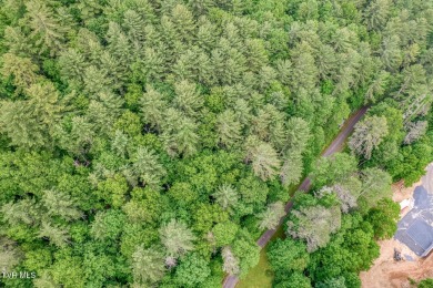 Lake Acreage For Sale in Butler, Tennessee