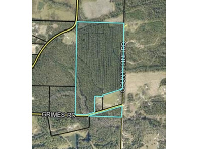(private lake, pond, creek) Acreage Sale Pending in Laurel Hill Florida