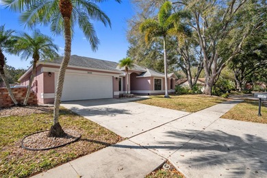 Lake Tarpon Home For Sale in Palm Harbor Florida
