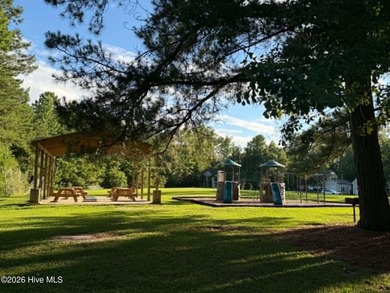 Build your dream home in the desirable Neuse Harbour - photo 4