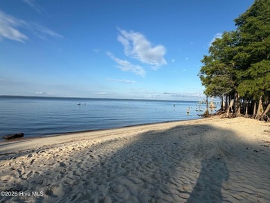 Build your dream home in the desirable Neuse Harbour - photo 5