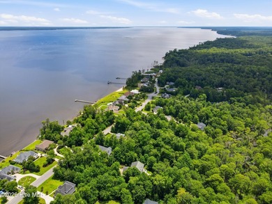 Build your dream home in the desirable Neuse Harbour - photo 7