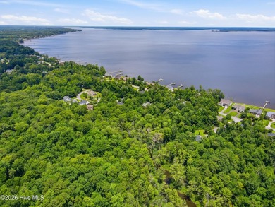 Build your dream home in the desirable Neuse Harbour - photo 8