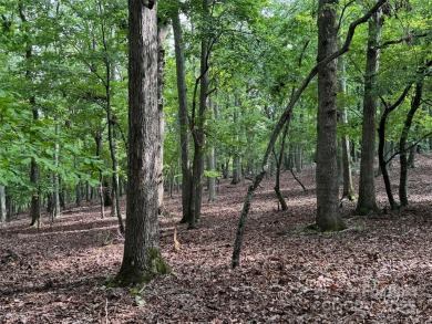 Lake Acreage For Sale in Denton, North Carolina