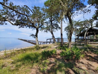 BUILD YOUR DREAM HOME IN THE STUNNING WATERFRONT COMMUNITY OF - photo 3