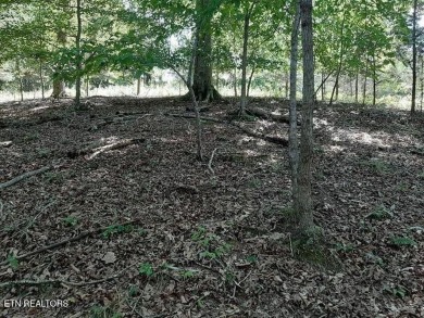 Norris Lake Lot For Sale in Lafollette Tennessee