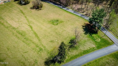 Lake Lot For Sale in Piney Flats, Tennessee