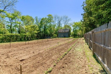 Wonderful Hamlet Business (HB) zoned property, in the heart of - photo 11