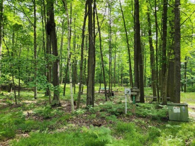 Lake Lot For Sale in Farwell, Michigan