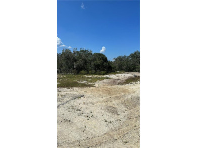 Lake Grassy Lot For Sale in Lake Placid Florida