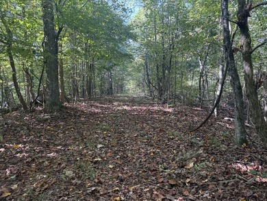 Tennessee River - Decatur County Acreage For Sale in Parsons Tennessee