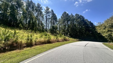 Lake Greenwood Acreage For Sale in Hodges South Carolina