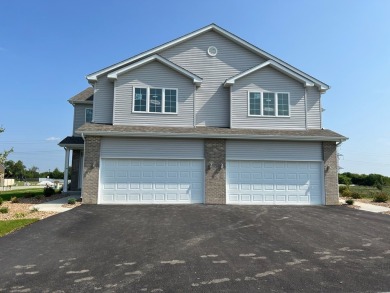 Lake Townhome/Townhouse For Sale in New Lenox, Illinois