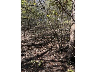 (private lake, pond, creek) Lot For Sale in Shell Knob Missouri