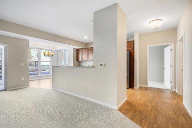 Zvago Central Village has 58 units and is a limited equity - photo 22