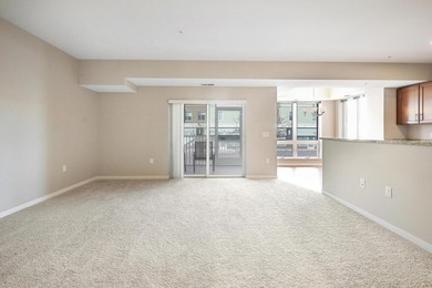 Zvago Central Village has 58 units and is a limited equity - photo 25