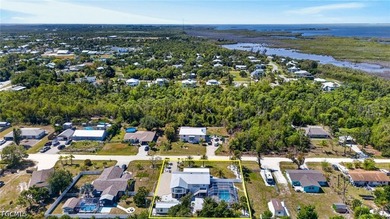 Private half-acre island estate near Pine Island Center with - photo 41