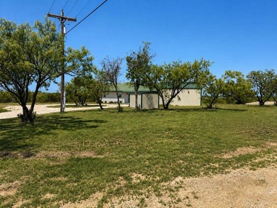 Lake O.H. Ivie Home For Sale in Paint Rock Texas