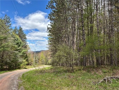 Have your own *slice* of Upstate New York with this affordable - photo 2