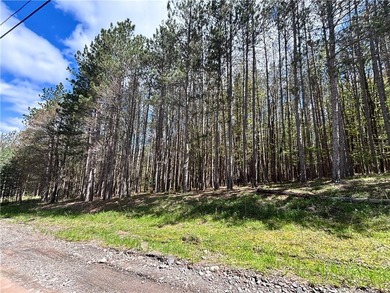 Have your own *slice* of Upstate New York with this affordable - photo 3