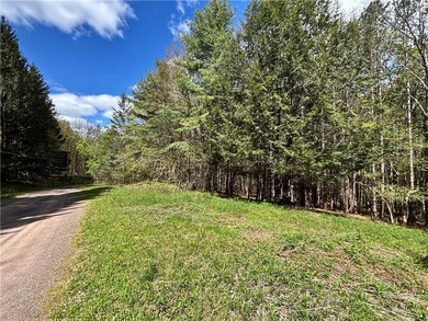 Have your own *slice* of Upstate New York with this affordable - photo 4