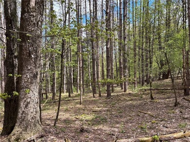 Have your own *slice* of Upstate New York with this affordable - photo 8
