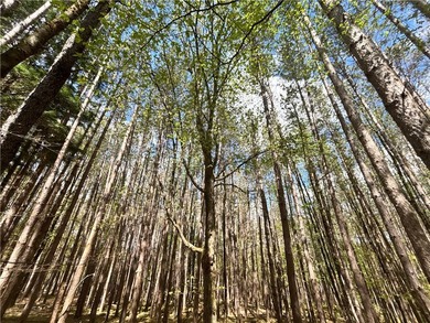 Have your own *slice* of Upstate New York with this affordable - photo 9