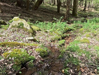 Have your own *slice* of Upstate New York with this affordable - photo 10