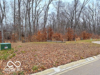 Tipton Lakes Lot For Sale in Columbus Indiana
