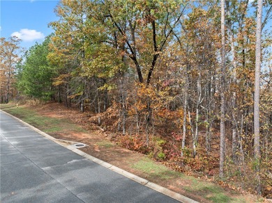 Lake Keowee interior lot #277 with deeded boat slip in sought - photo 5