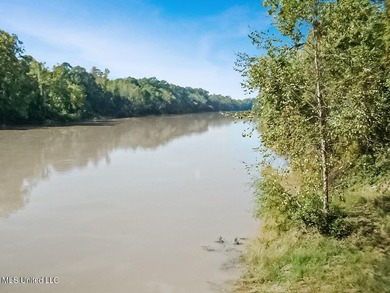 Freshly Renovated Riverside Retreat on 3.78 Acres - Welcome to - photo 13