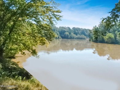 Freshly Renovated Riverside Retreat on 3.78 Acres - Welcome to - photo 14