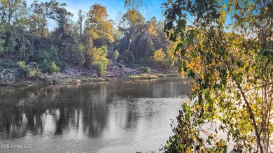 Freshly Renovated Riverside Retreat on 3.78 Acres - Welcome to - photo 15