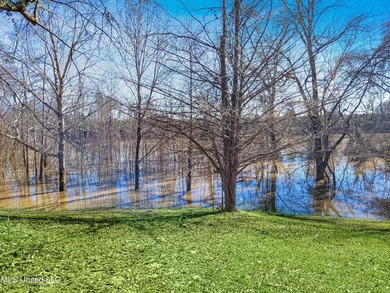 Freshly Renovated Riverside Retreat on 3.78 Acres - Welcome to - photo 16