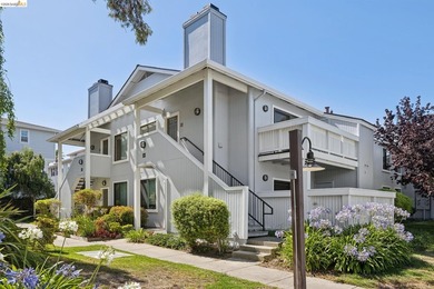 Experience resort-style living in the heart of Richmond Marina - photo 31