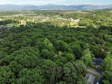 Tucked away on a quiet cul-de-sac in Massanutten Resort, this - photo 47