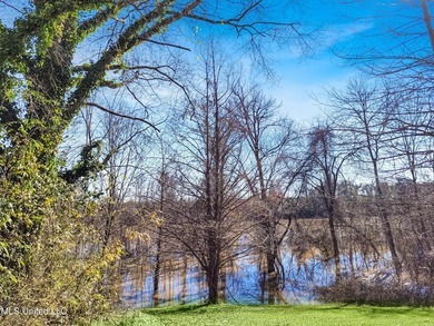 Freshly Renovated Riverside Retreat on 3.78 Acres - Welcome to - photo 47