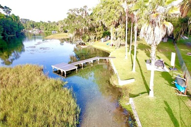 Welcome to one of the Rainbow River's most desired locations - photo 48