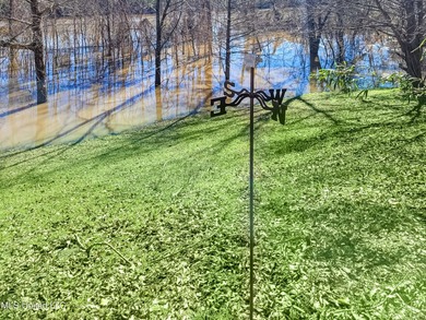Freshly Renovated Riverside Retreat on 3.78 Acres - Welcome to - photo 48