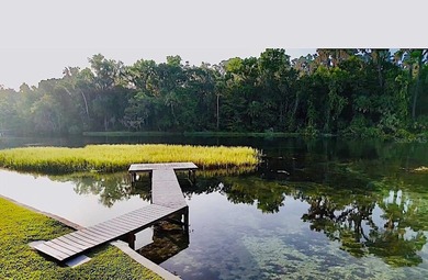 Welcome to one of the Rainbow River's most desired locations - photo 50