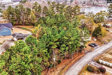 Lake Lot For Sale in Gilbert, South Carolina