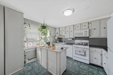 Welcome to 46-48 Lincoln Avenue-an incredible legal two-family - photo 26