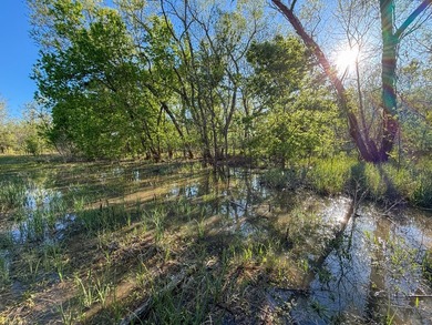 Introducing the NCR Legacy Ranch, a 303 +/- acre riverfront - photo 50