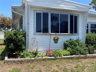 (private lake, pond, creek) Home For Sale in St. Petersburg Florida