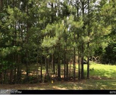 Lake Tobesofkee Lot For Sale in Lizella Georgia