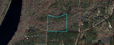 Suwannee River Acreage For Sale in Other Florida Florida