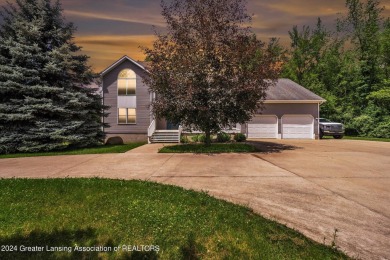  Home For Sale in Morrice Michigan